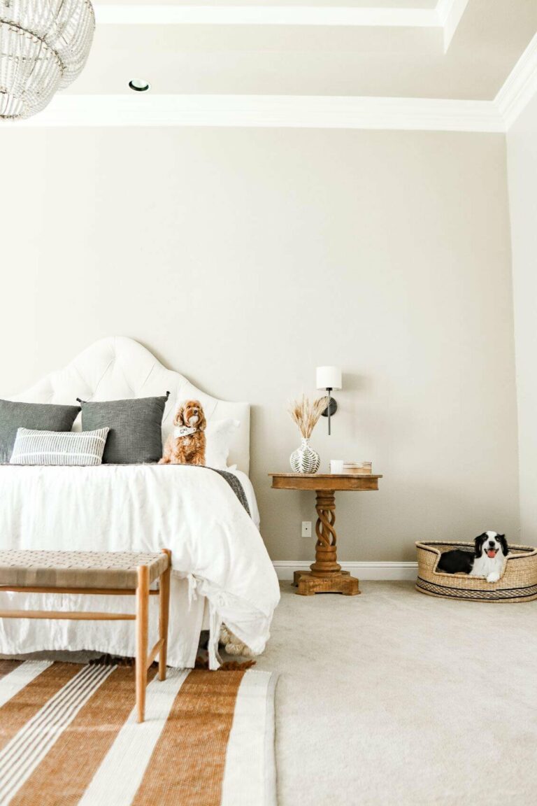Dogs & Decor Home Tour with Ollie